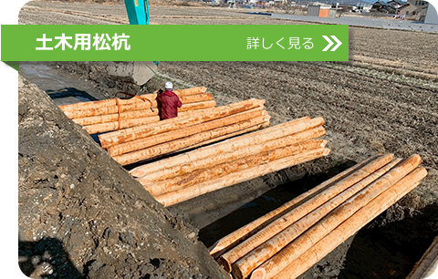 土木用松杭